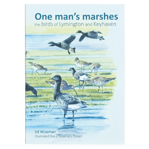 One man's marshes
